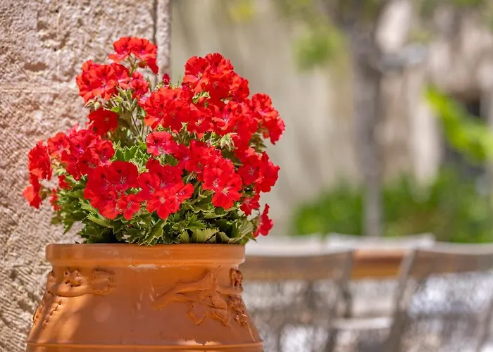 Sala Historical Luxury Appartement Rhodes City