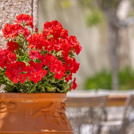 Sala Historical Luxury Apartment Rhodes City